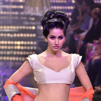 Lakme Fashion Week 2011 Day 5 Pictures | Picture 63171